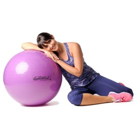 Original Pezzi Pezziball Standard 65 cm with Ball Bowl & Pump Combi Gymnastics Ball