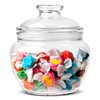 Modern Innovations 40 oz Candy & Cookie Jar with Lid,
