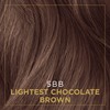 Clairol Professional Crème Permanente, 5BB Lightest Chocolate Brown, 2 oz.