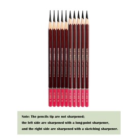 Professional Drawing Charcoal Pencils Set, 10 Piece Art Supplies with Soft Medium Hard for Sketching,Charcoal Art,Drawing Charcoal Pencils for Sketching,Art Supplies(soft 10 Piece)
