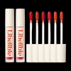 Reverible Waterizing Tint 4g x 2 / 리베리블 워터라이징 틴트 4g 2개
