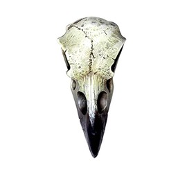 Reliquary Raven Skull