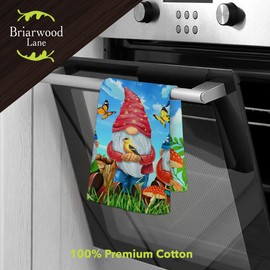 Briarwood Lane Gnome Sweet Gnome Spring Hand Towel 26" x 18"