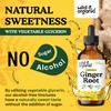 Wild & Organic Ginger Root Extract Drops - Immune &