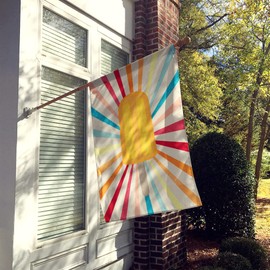 Caroline's Treasures SB3104CHF Orange Popsicle House Flag Large Porch Sleeve Pole Decorative Outside Yard Banner Artwork Wall Hanging, Polyester, House Size, Multicolor