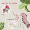 2-Pack Rose Essential Oil - 100% Pure Organic Natural Plant