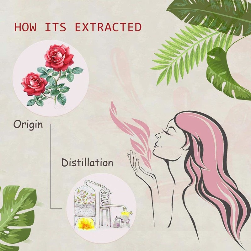 2-Pack Rose Essential Oil - 100% Pure Organic Natural Plant