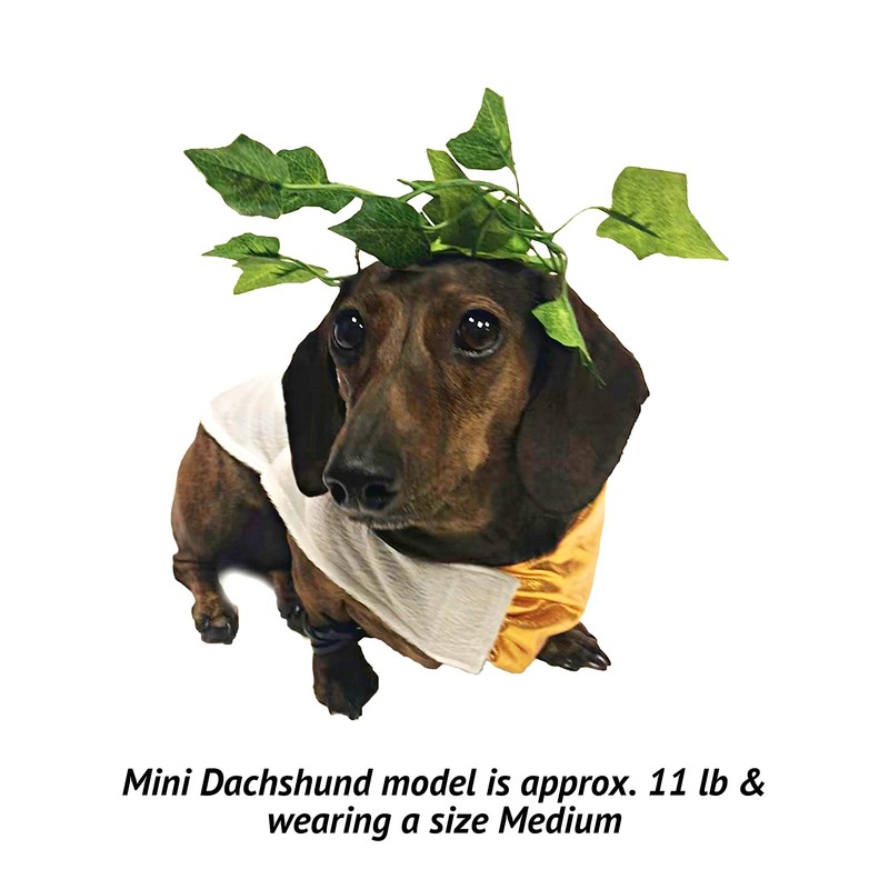 Midlee Toga Dog Costume