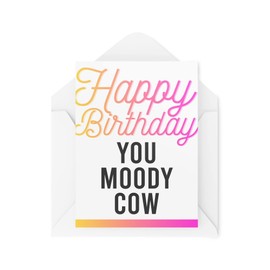 Funny Cards Birthday Card You Moody Cow 30th 40th 50th 60th 70th Greeting Witty Humour Laughter Banter Joke Fun CBH62