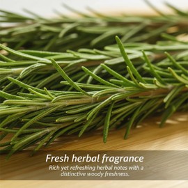 SODGHYTR Dried Whole Rosemary Sprigs,0.7oz (20g),10–15 Sprigs
