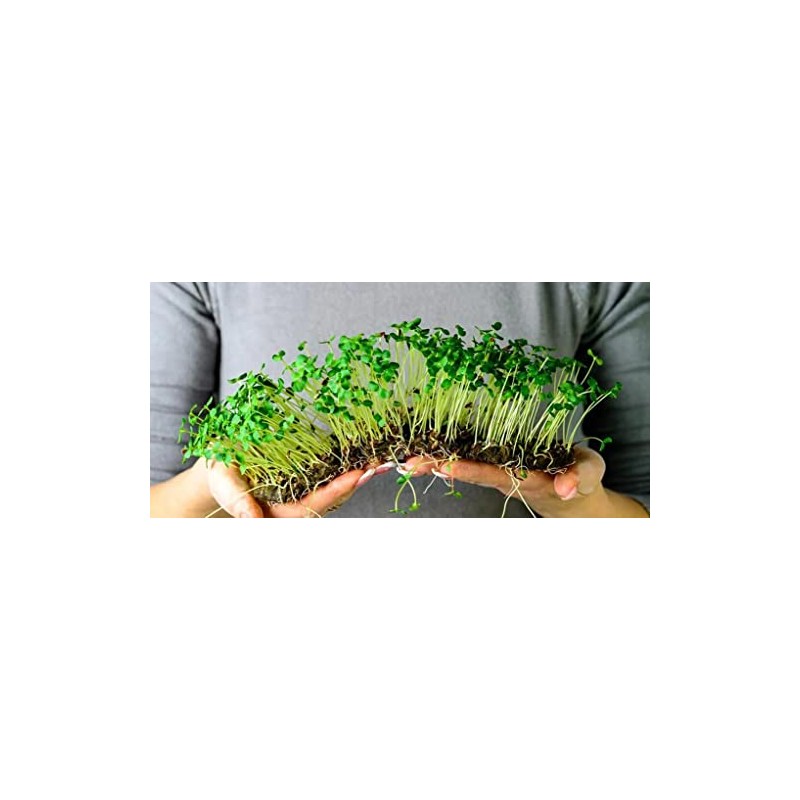 Gardenera Organic Microgreens Potting Mix: Hand-Mixed with Care Using Top-Grade