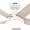 Hunter Fan 52 inch Casual White Indoor/Outdoor Ceiling Fan with