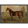 SIGNFORD Framed Canvas Print Wall Art Equestrian Portrait of a