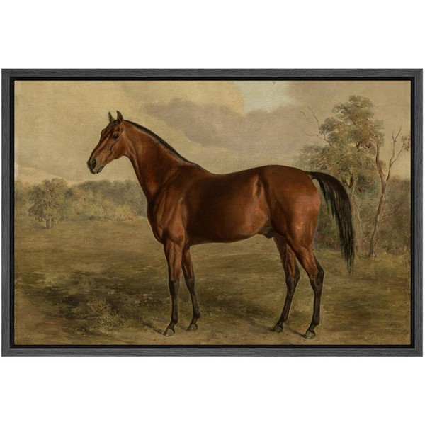 SIGNFORD Framed Canvas Print Wall Art Equestrian Portrait of a