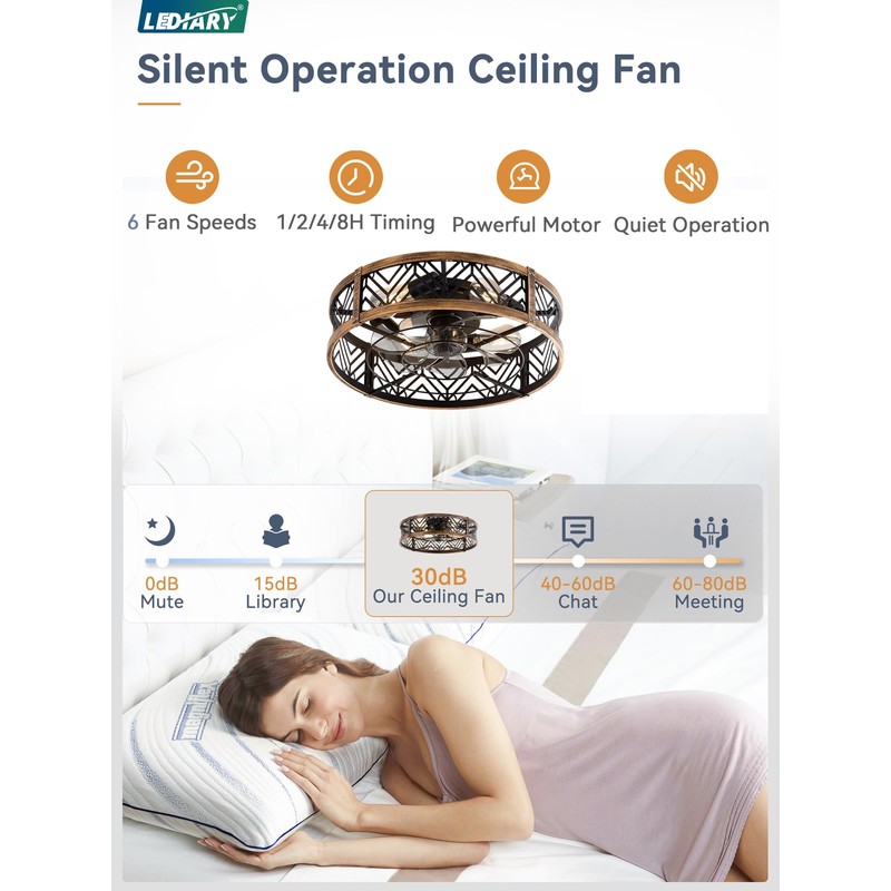 LEDIARY 20" Caged Ceiling Fan with Light, Small Flush Mount,