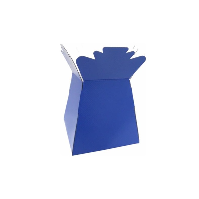 Glossy Vibrant Bouquet, Flower Box/Vase - Transportation Display, Presentation Boxes