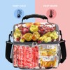 FlowFly Insulated Lunch Bag Adult Lunch Box Large Tote Double