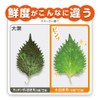 Freshness Preservation Bags for Vegetables and Fruits, 80 Pieces, Vegetables,