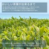 Teal Brown Rice Tea Bag, 0.1 oz (3 g) x