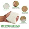 Biodegradable Natural Kitchen Sponge - Compostable Cellulose and Coconut Walnut