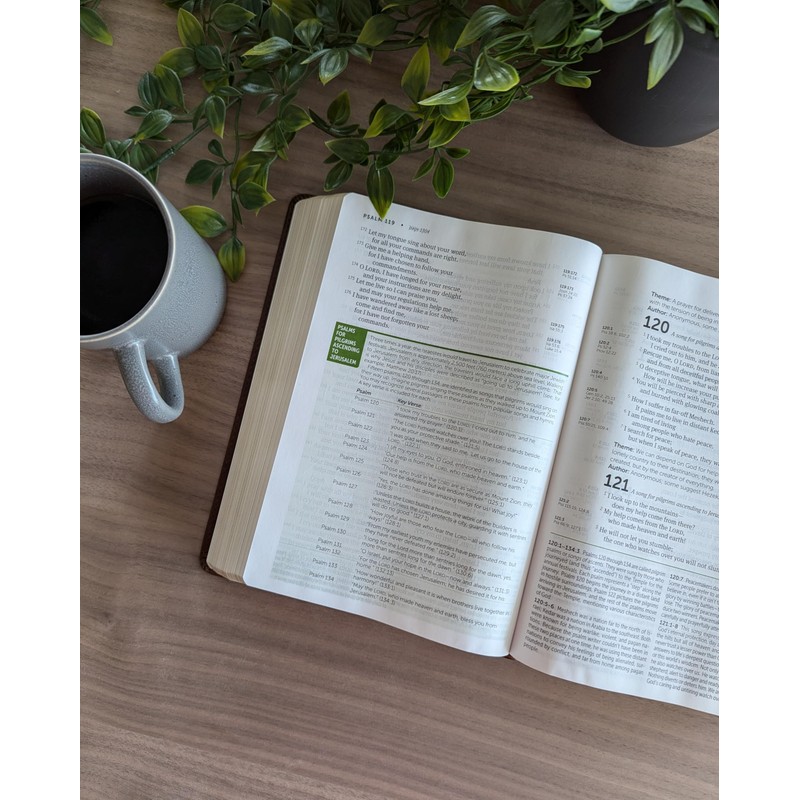 NLT Life Application Study Bible, Third Edition, Large Print (LeatherLike,