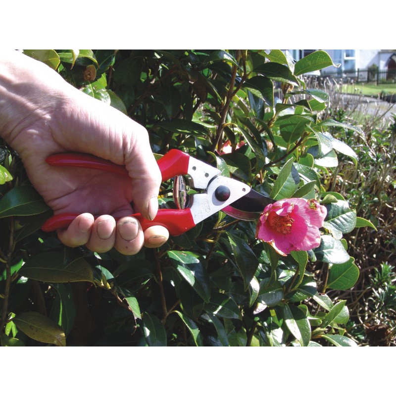 C.K Classic C.k 5631 Legend Bypass Pruners