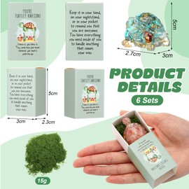 DoubleFill 6 Set Back to School Gifts for Students Emotional Turtles Bulk Appreciation Gifts for Staff Employee Teachers Coworkers Teacher Mail Classroom Birthday (Natural Crystal)