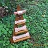 REPLUS Pet Toy, Neem Bone, SS Size, Chew Toy, Stiff,