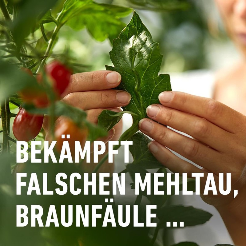 Compo Pilz-frei Revus 20ml