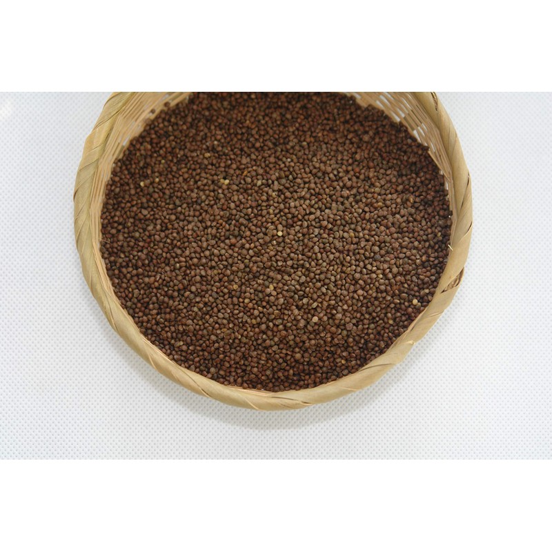 Changbai Kobo Organic Sesame Oil Low Temperature Pressing Method Ichiban