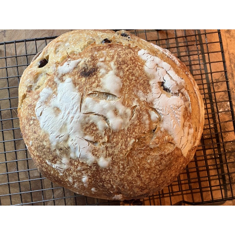 SanFranSourdough California SOUR STARTER tangy active strong Sourdough bread Organic