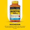Mason Natural Magnesium 500 mg Extra Strength, 100,Day Supply, 1