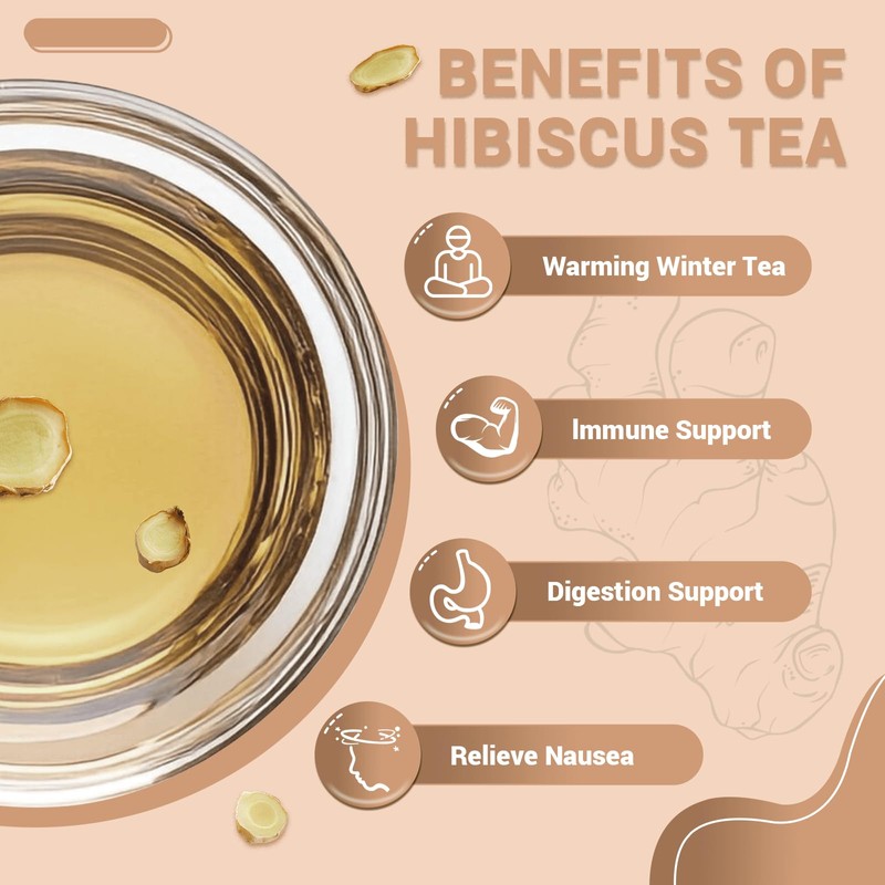 Ginger Root Herbal Tea - Caffeine Free, 50 Tea Bags