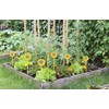Bird B Gone Scare Bird Garden Stakes - 6 Pack