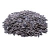 Jumbo Salted and Roasted Sunflower Seeds in Shell, 5.25 oz