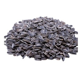 Jumbo Salted and Roasted Sunflower Seeds in Shell, 5.25 oz Bags - (6 - Pack, Original Flavor)