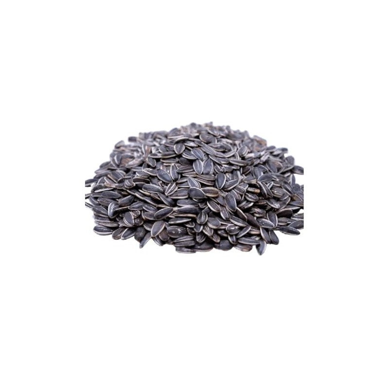 Jumbo Salted and Roasted Sunflower Seeds in Shell, 5.25 oz