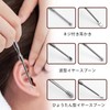 Liroyal 耳かき 耳掃除 (4点セット) みみかき 耳掻きセット 耳垢クリーニング ステンレス製 ブラシ付き 専用ブラシ