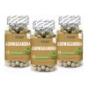 Vitamx Suplemento 300 Capsulas Relajante Y Antiestres