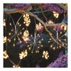 Smart Garden Products Ltd Starburst Lights – Set of 10