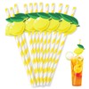 Lemonade Stand Paper Straws - 100PCS Fresh Lemonade Party Decorations