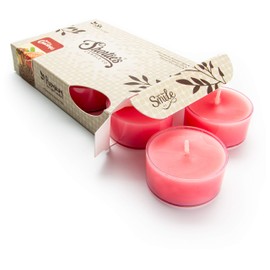 Dickens Christmas Premium Tealight Candles - 6 Pink Highly Scented Tea Lights - Beautiful Candlelight - Made in The USA - Christmas & Holiday Collection