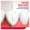 Parodontax Active Gum Health Breath Freshener Mouthwash, 3 x 16.9