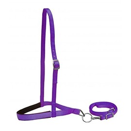 Showman PURPLE Premium Nylon Padded Noseband And Tie Down