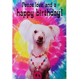 Greeting Card Peace Love and Happy Birthday Hippie Psychedelic Rainbow Design with Powder Puff Chinese Crested Dog