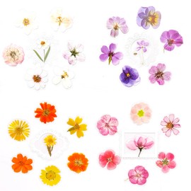 Ychsring Small Flower Stickers Set - 240 Pcs Clear PET Lace Frame Floral Stickers for Scrapbooking, Journaling, Junk Journal - Waterproof Transparent Cute Mini Aesthetic for Crafts, Scrapbook Supplies