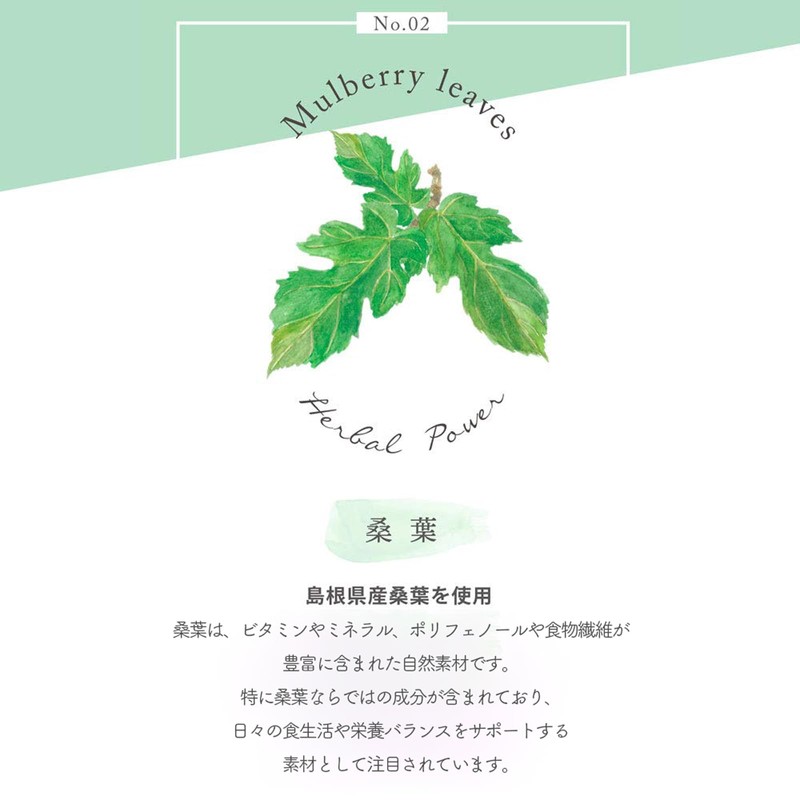 バイオサプリ ハーブスカット オリーブ葉 ヤーコン葉 桑の葉 マルチカロテノイド 90粒×1袋