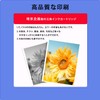 [Saikyo Planning] BCI-301Y (2-Pack) Large Capacity Compatible Ink BCI-301 Yellow