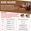 BARKLESS Dog Muzzle Leather, Soft Secure Anti-Barking Leather Muzzle for