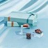 Ethel M Chocolates Premium Nuts & Caramels Collection Chocolate Gift